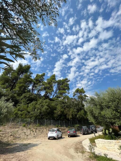 Paralia Homes Cheerful 2 Bedroom With Pool, Unit #1