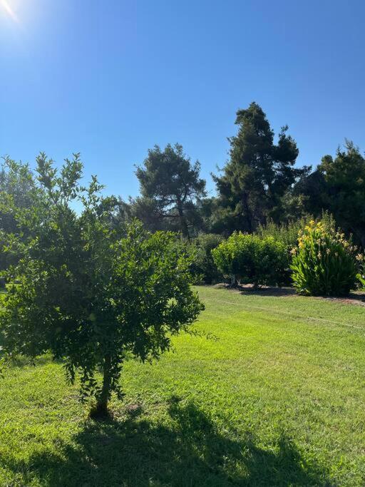 Villa Paralia Homes Cheerful 2 Bedroom With Pool, Unit #1 *