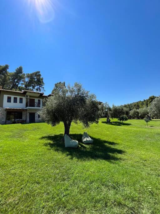 Paralia Homes Cheerful 2 Bedroom With Pool, Unit #1 Villa *
